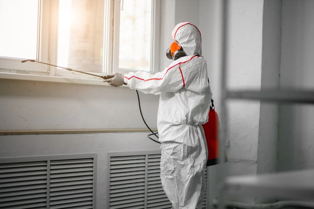 Professional mold remediation services in Ettrick, WI